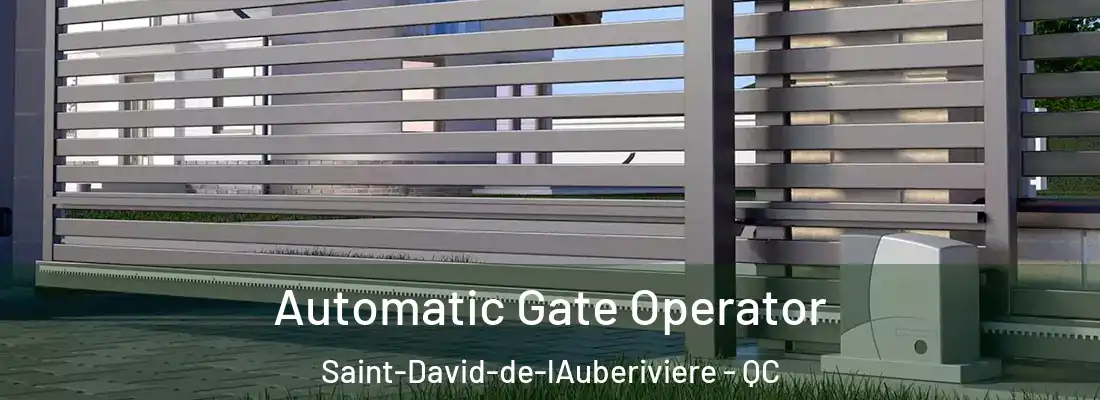 Automatic Gate Operator Saint-David-de-lAuberiviere - QC