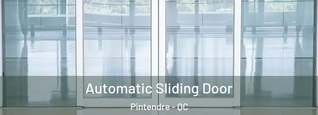  Automatic Sliding Door Pintendre - QC