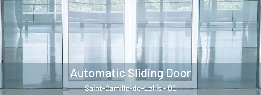  Automatic Sliding Door Saint-Camille-de-Lellis - QC