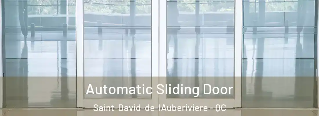  Automatic Sliding Door Saint-David-de-lAuberiviere - QC