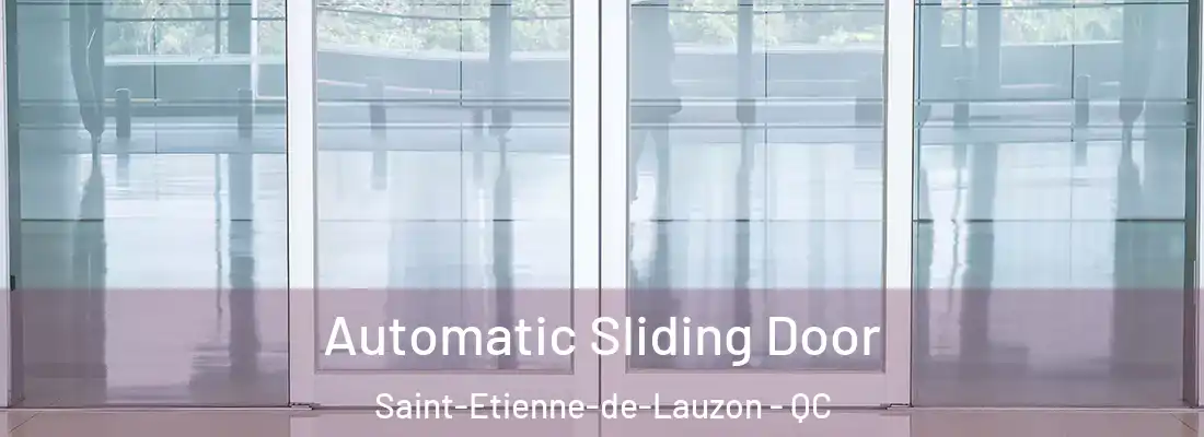  Automatic Sliding Door Saint-Etienne-de-Lauzon - QC