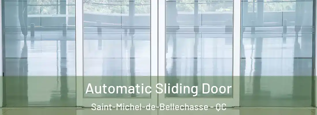  Automatic Sliding Door Saint-Michel-de-Bellechasse - QC