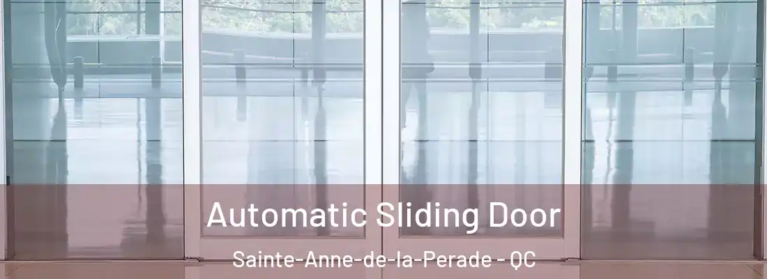  Automatic Sliding Door Sainte-Anne-de-la-Perade - QC