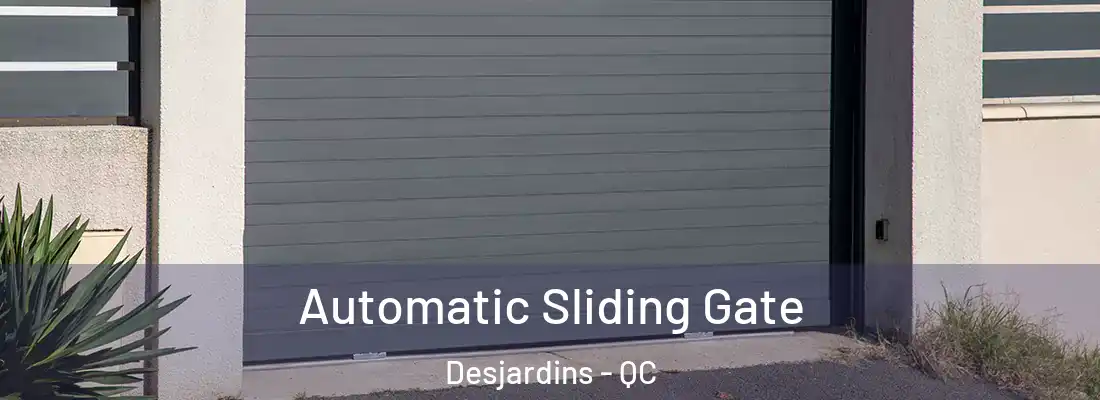  Automatic Sliding Gate Desjardins - QC