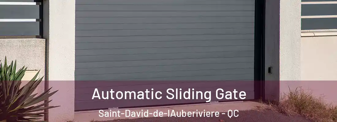  Automatic Sliding Gate Saint-David-de-lAuberiviere - QC