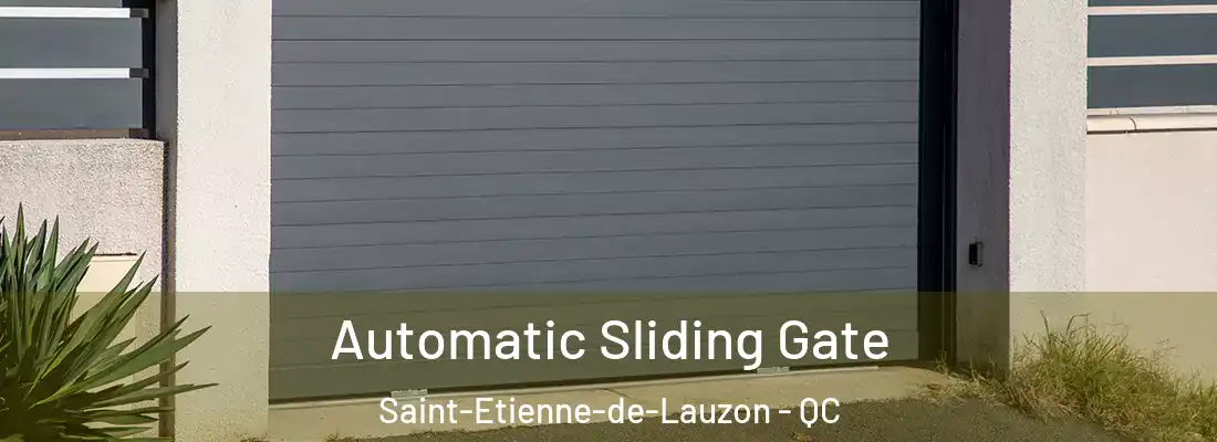  Automatic Sliding Gate Saint-Etienne-de-Lauzon - QC