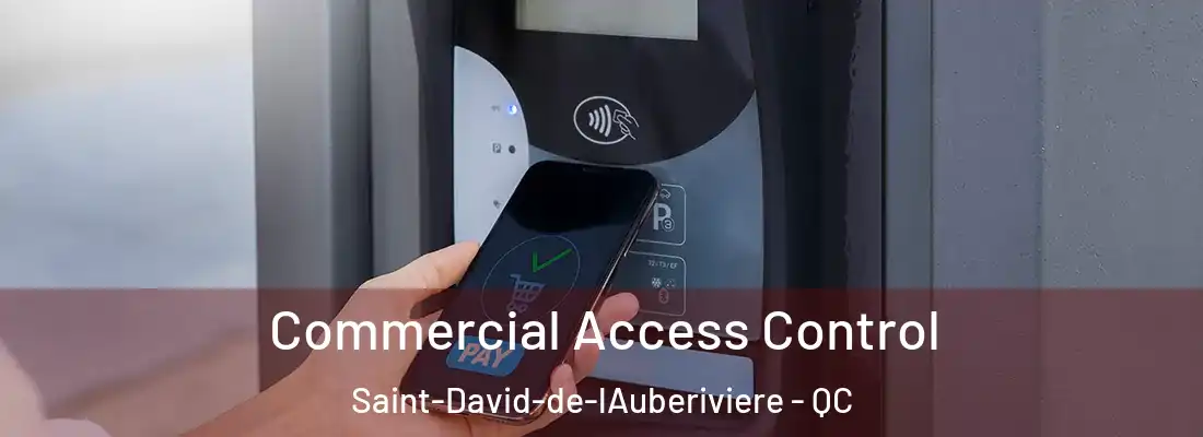  Commercial Access Control Saint-David-de-lAuberiviere - QC