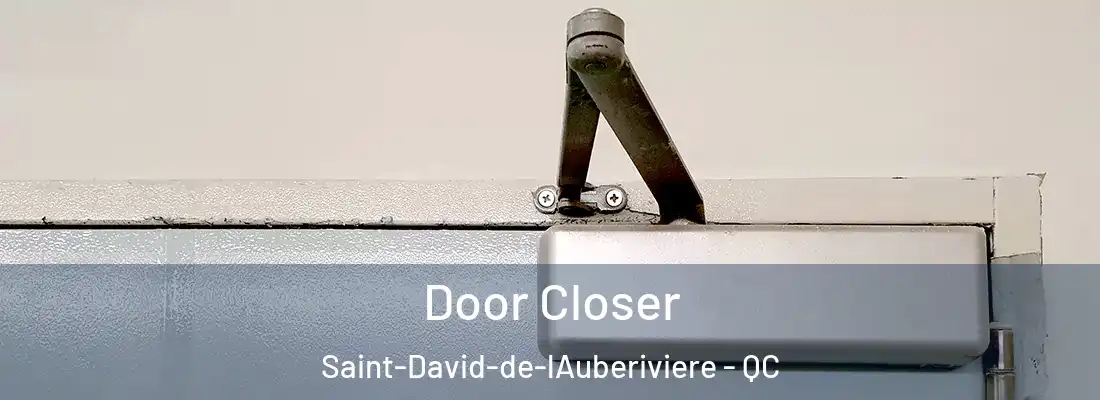 Door Closer Saint-David-de-lAuberiviere - QC