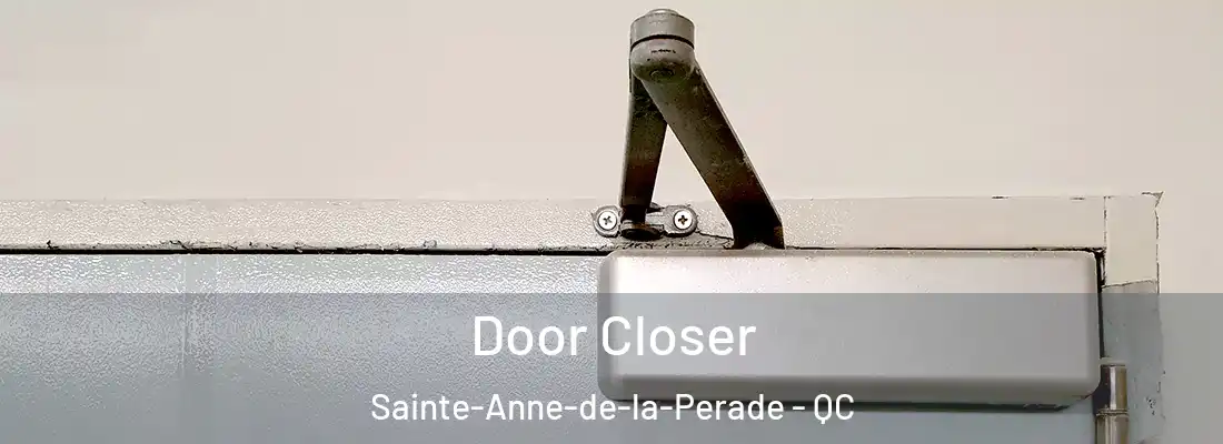  Door Closer Sainte-Anne-de-la-Perade - QC