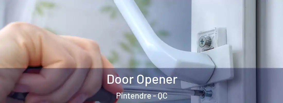  Door Opener Pintendre - QC