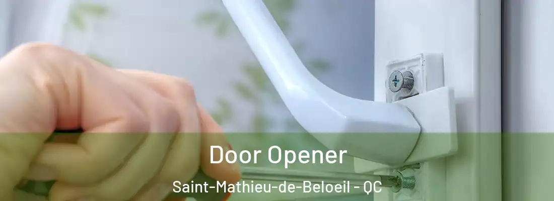  Door Opener Saint-Mathieu-de-Beloeil - QC