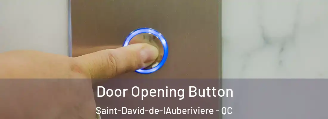  Door Opening Button Saint-David-de-lAuberiviere - QC