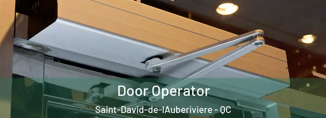  Door Operator Saint-David-de-lAuberiviere - QC