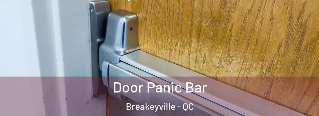 Door Panic Bar Breakeyville - QC