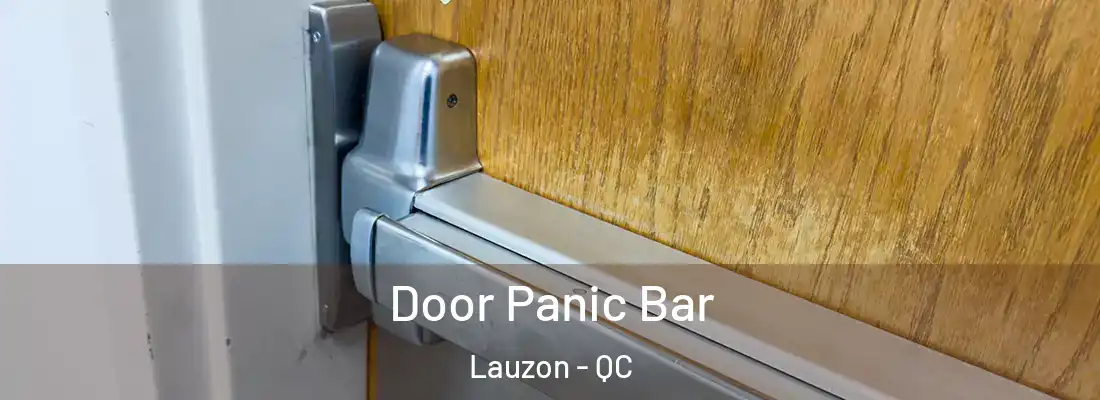 Door Panic Bar Lauzon - QC