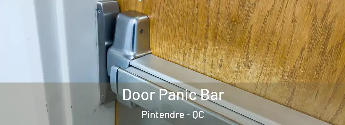  Door Panic Bar Pintendre - QC
