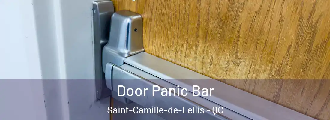  Door Panic Bar Saint-Camille-de-Lellis - QC