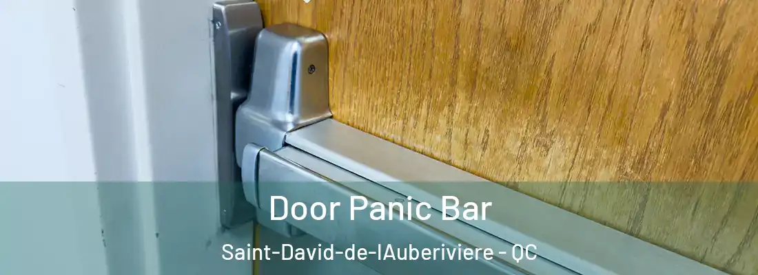  Door Panic Bar Saint-David-de-lAuberiviere - QC