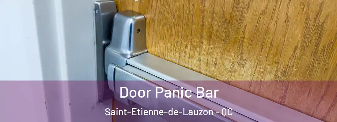  Door Panic Bar Saint-Etienne-de-Lauzon - QC