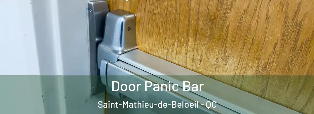 Door Panic Bar Saint-Mathieu-de-Beloeil - QC