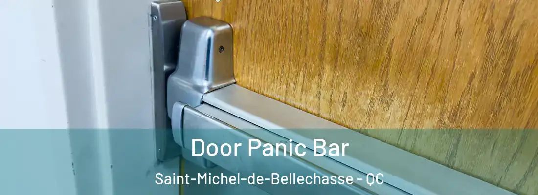  Door Panic Bar Saint-Michel-de-Bellechasse - QC