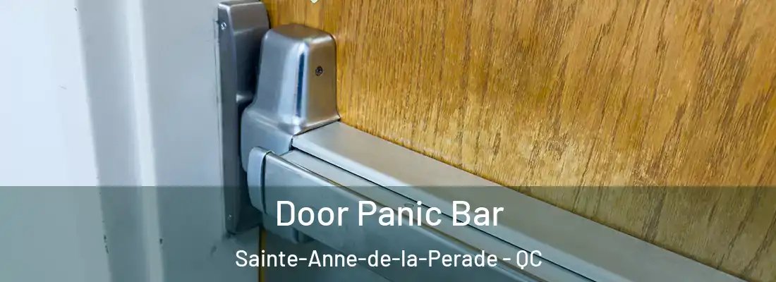  Door Panic Bar Sainte-Anne-de-la-Perade - QC