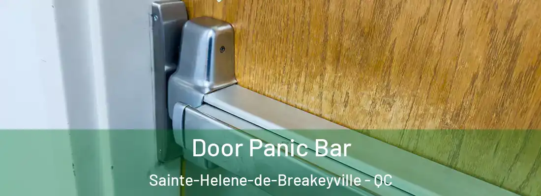  Door Panic Bar Sainte-Helene-de-Breakeyville - QC