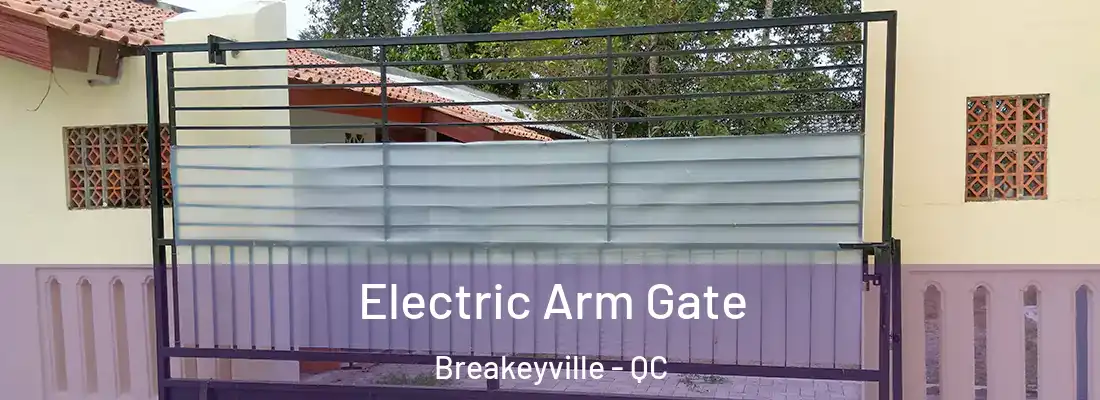  Electric Arm Gate Breakeyville - QC