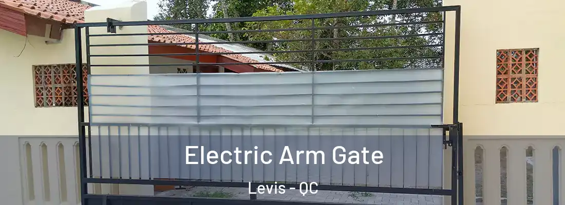  Electric Arm Gate Levis - QC