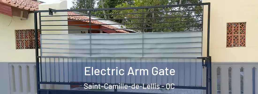  Electric Arm Gate Saint-Camille-de-Lellis - QC