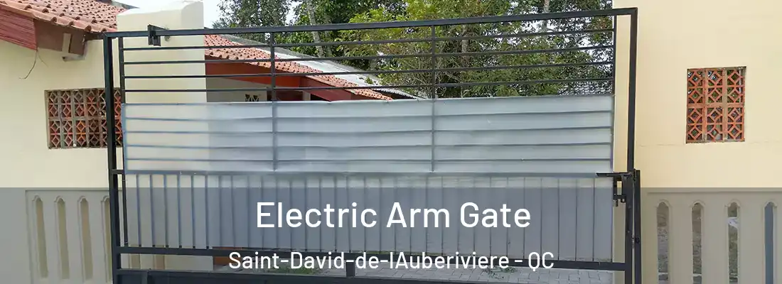  Electric Arm Gate Saint-David-de-lAuberiviere - QC