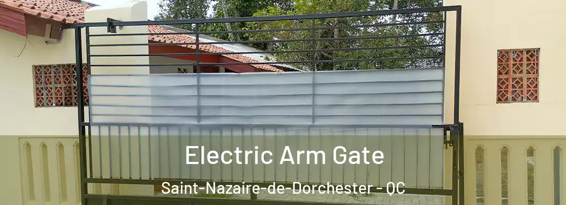  Electric Arm Gate Saint-Nazaire-de-Dorchester - QC