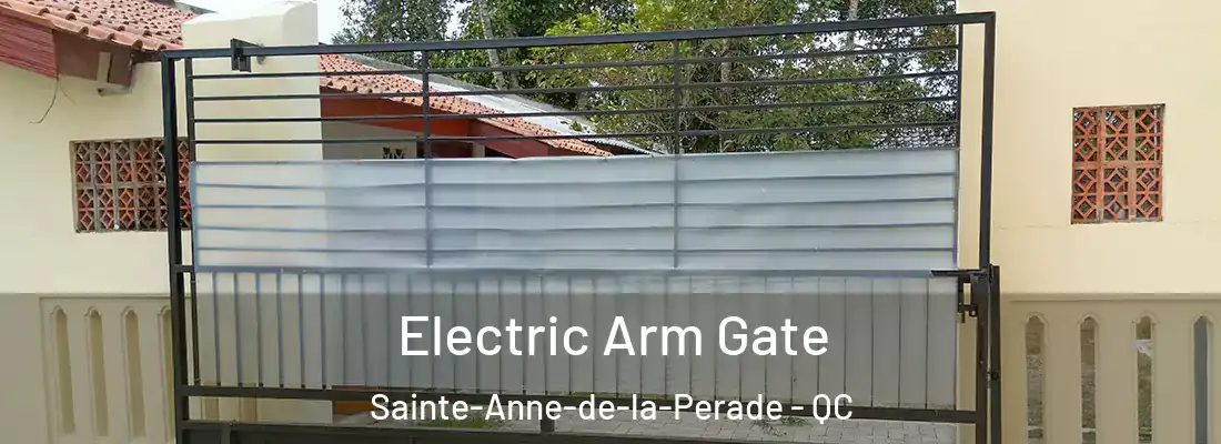 Electric Arm Gate Sainte-Anne-de-la-Perade - QC