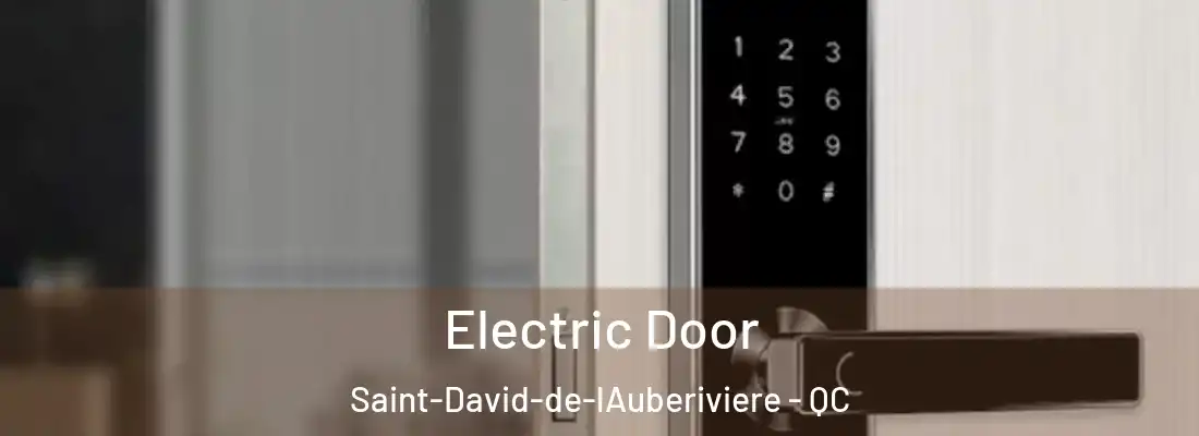  Electric Door Saint-David-de-lAuberiviere - QC