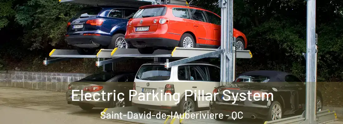 Electric Parking Pillar System Saint-David-de-lAuberiviere - QC