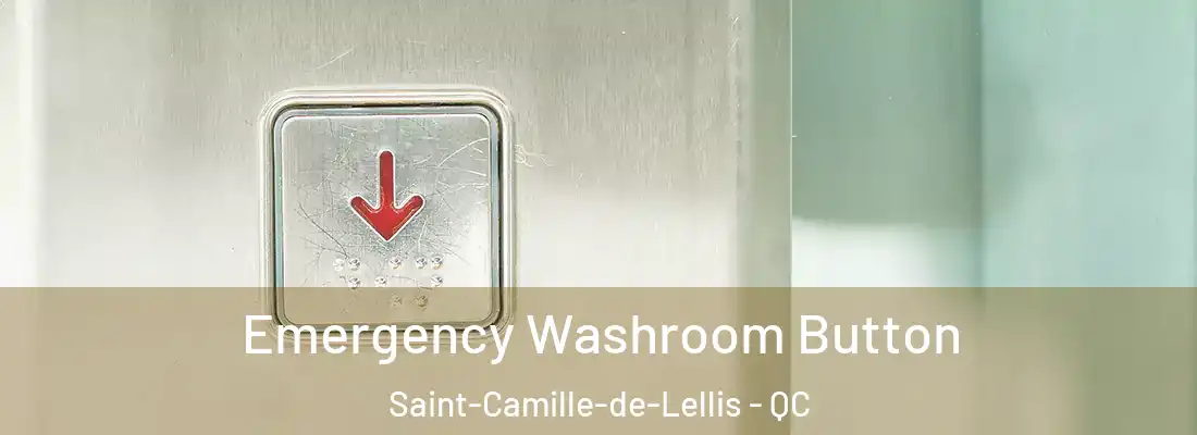 Emergency Washroom Button Saint-Camille-de-Lellis - QC