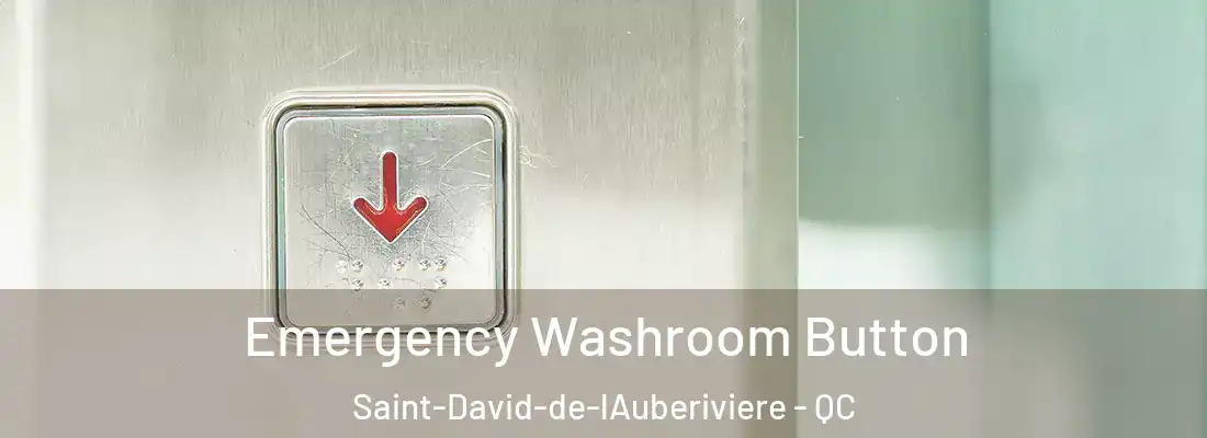  Emergency Washroom Button Saint-David-de-lAuberiviere - QC