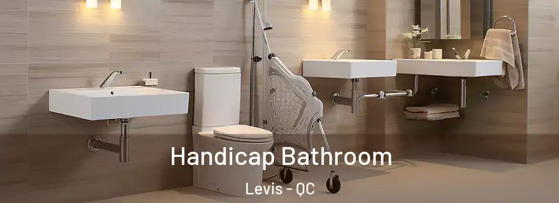  Handicap Bathroom Levis - QC