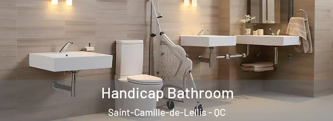  Handicap Bathroom Saint-Camille-de-Lellis - QC