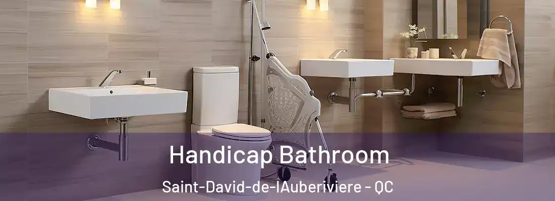  Handicap Bathroom Saint-David-de-lAuberiviere - QC