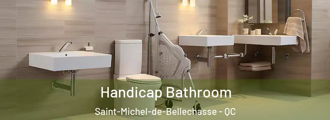 Handicap Bathroom Saint-Michel-de-Bellechasse - QC