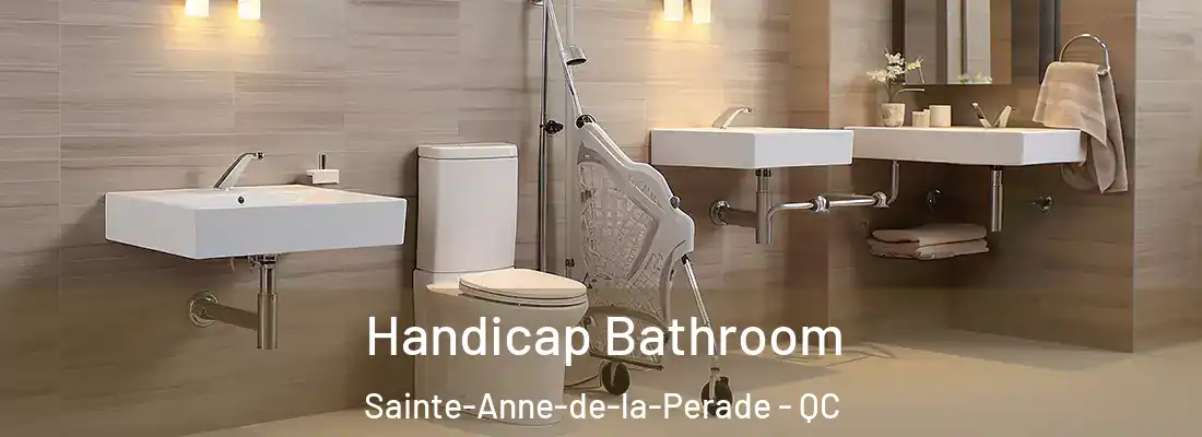  Handicap Bathroom Sainte-Anne-de-la-Perade - QC