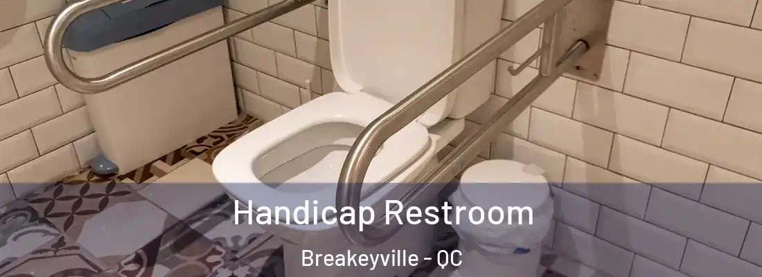  Handicap Restroom Breakeyville - QC