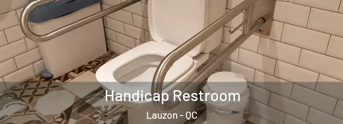  Handicap Restroom Lauzon - QC