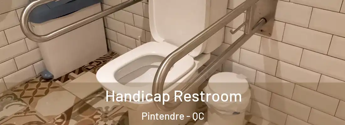 Handicap Restroom Pintendre - QC