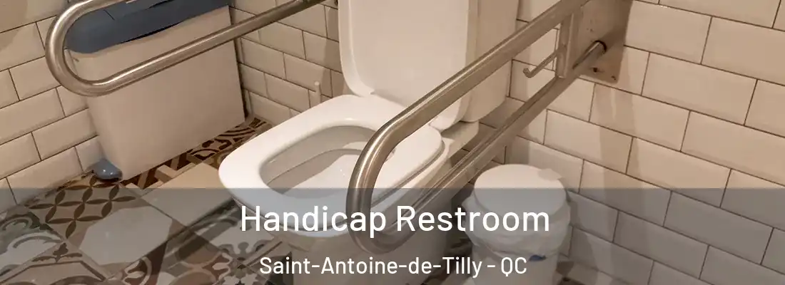 Handicap Restroom Saint-Antoine-de-Tilly - QC