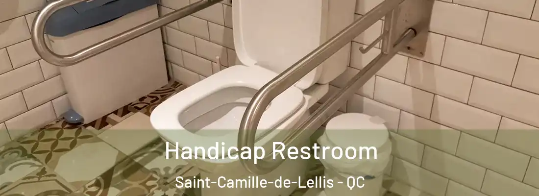  Handicap Restroom Saint-Camille-de-Lellis - QC