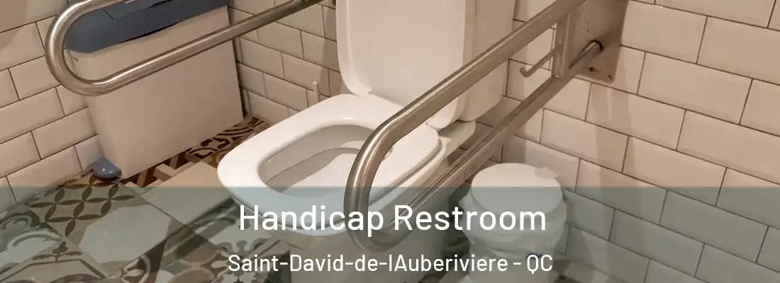 Handicap Restroom Saint-David-de-lAuberiviere - QC