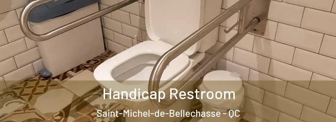  Handicap Restroom Saint-Michel-de-Bellechasse - QC
