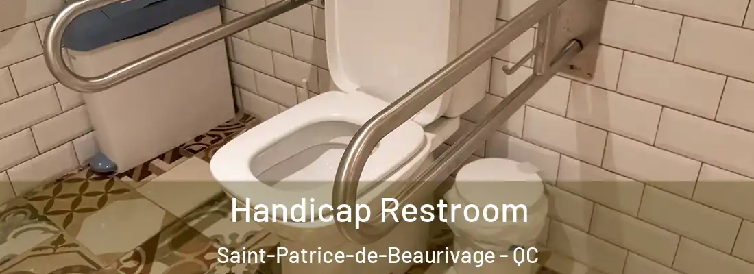 Handicap Restroom Saint-Patrice-de-Beaurivage - QC